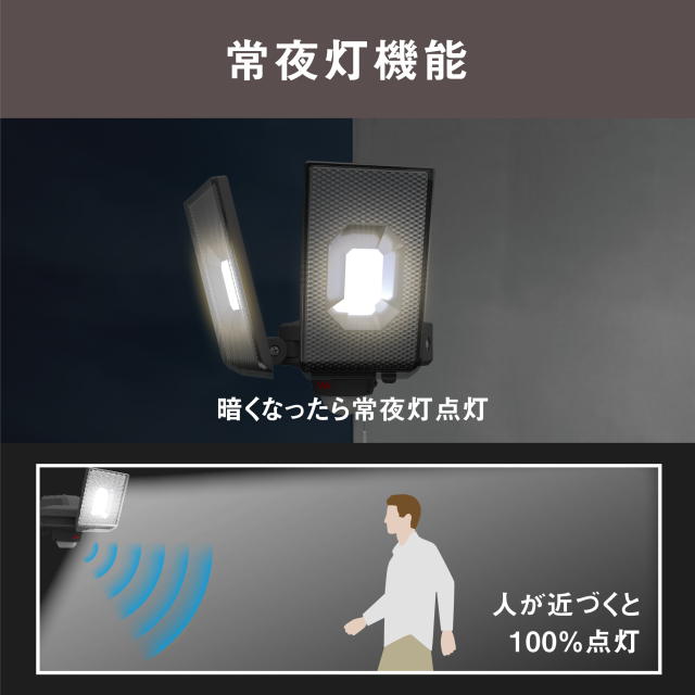 RITEX 12.5W×2灯スライド型 LEDセンサーライト 100V：LED-AC2050